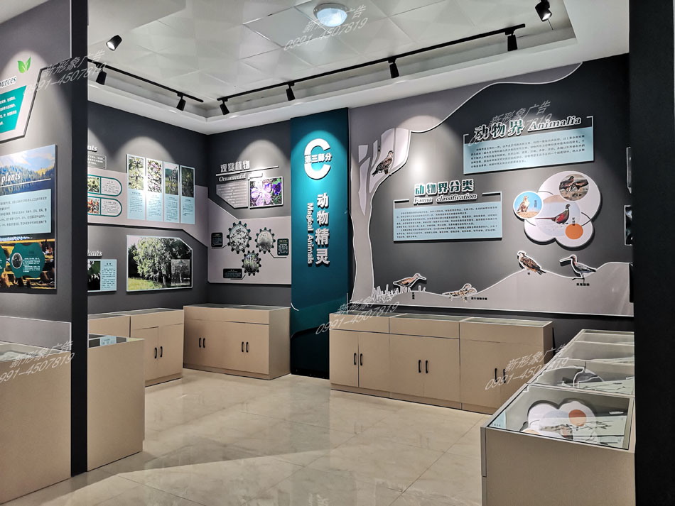 尼勒克縣野生動(dòng)植物展館設計制作