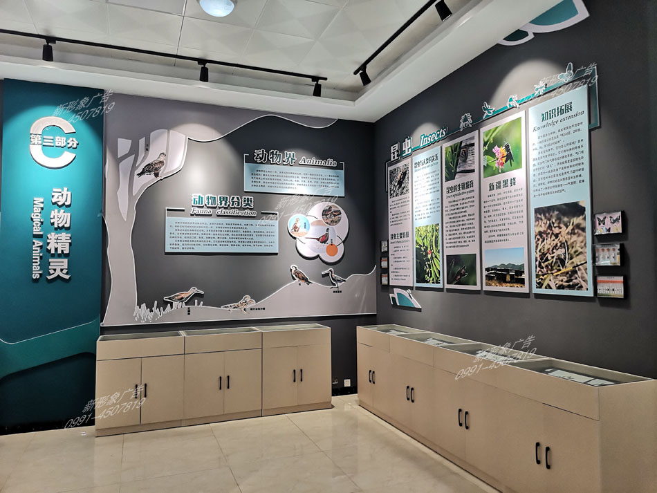 研學(xué)館動(dòng)物精靈展廳設計制作