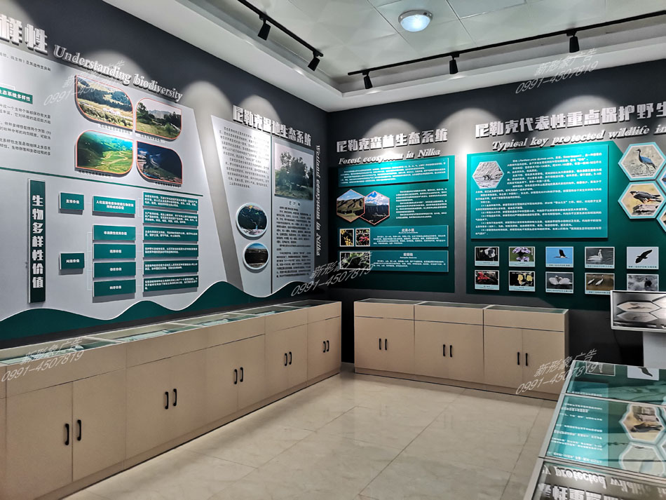 野生動(dòng)植物標本展廳設計制作